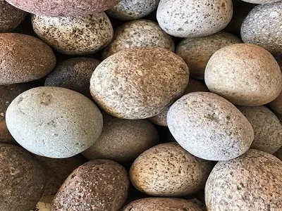 Bolones seleccionados en Papudo - La Ligua