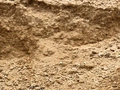 Maicillo en Papudo - La Ligua